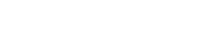 TERSON — logo